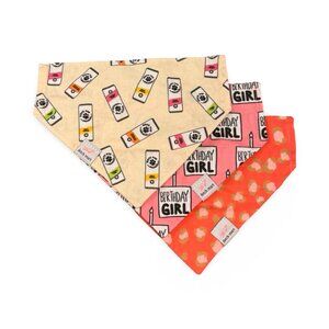 Dog Slip on Bandana Set of 3